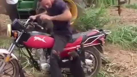 baby monkey wants to ride - funny