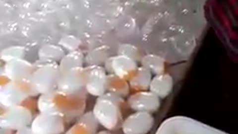 Artificial Eggs making