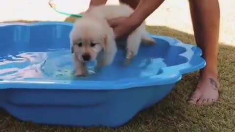 I had my first swimming lesson today❤🤭