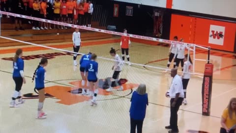 A bug on the volleyball court