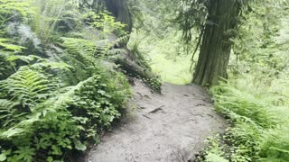 Gingerly Descending the Muddy Latourell Falls Loop – Columbia River Gorge – Oregon – 4K