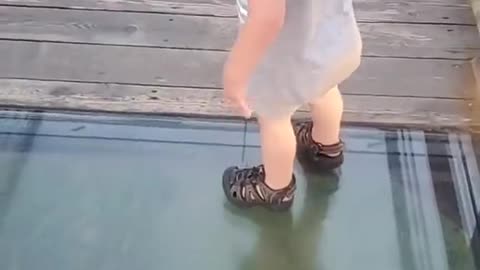 Toddler Attempts to Cross onto Glass Bridge