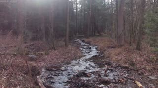 pine grove hikeing trail