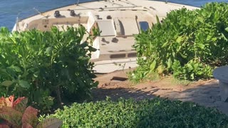 Boat Debris Washes Up On Beach