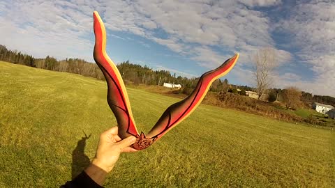 Homemade boomerang has beautiful flight