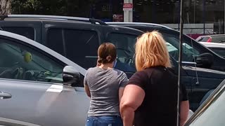 Roadside Argument Over a Dog Left in a Vehicle