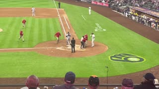Fan Gone Wild at Brewers Game