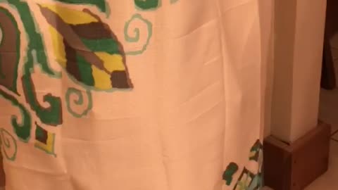 Little Girl Plays Hide And Seek Inside Of A Shower Curtain