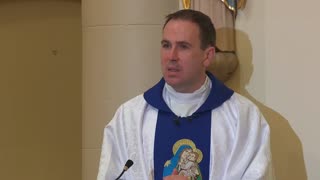 The New Eve: Homily by Fr Sean Davidson. A Day With Mary