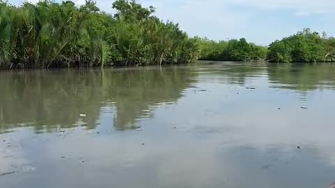 Jowar Sundarban