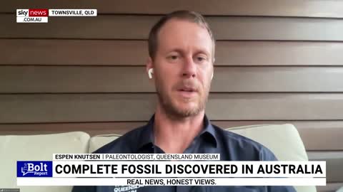 ‘Very important’: Remarkable fossil discovery made in Queensland