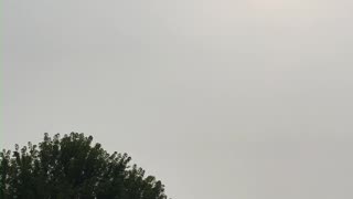 Smoke Blocking Sun