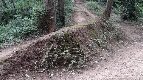 Dirt Ramps Found on Hike
