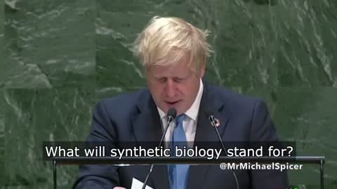 the room next door - Boris Johnson at the UN