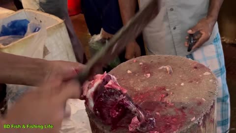 Big Rohu Fish Cutting Skils | Fish Cutting Skils | Fish Cutting Video