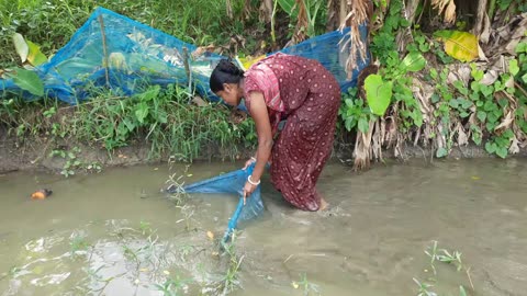 New Amazing Village Girl Fishing in Mud Water || Shrimp Fish catching