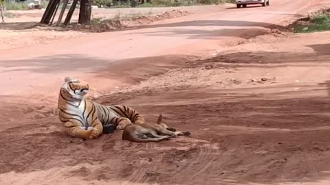 Fake Tiger Prank Dog and How can