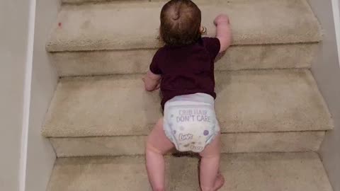 Baby climbing stairs