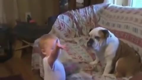 Cute Baby play with dog