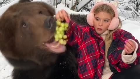 Brown bears are omnivorous, eating anything that they can get their paws on.