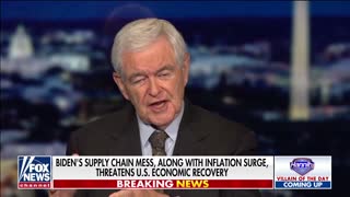 Newt Gingrich: Democratic government is waging war on Americans