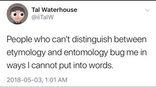 Etymology and Entomology #shorts #memes #puns #funny #bugs #wordplay #twitter