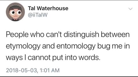 Etymology and Entomology #shorts #memes #puns #funny #bugs #wordplay #twitter