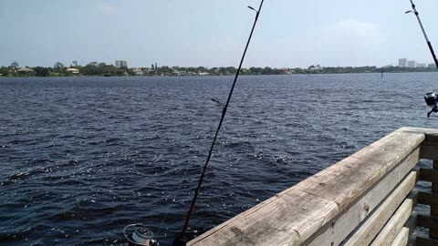 Fishing 🎣🎣 pier all to myself