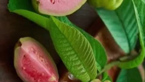 Many Benefits of Guava