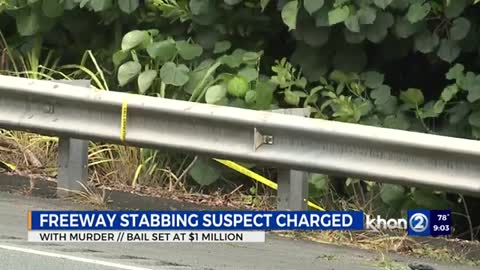 Suisect charged in fatal H3 stabbing