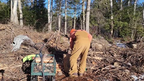 Supply Run and More Firewood