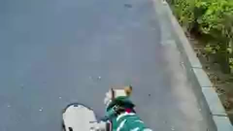 Smart dog ride on sketing board