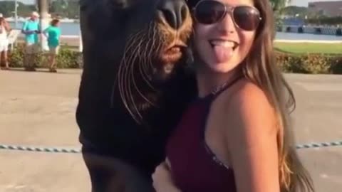 Marine seal loves a selfie! 😂 Funny Video!!!