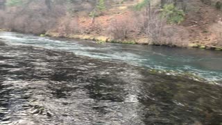 Shoreline Hiking Beside Wild Metolius River – Central Oregon