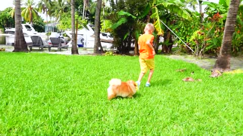 Vlad and Mom exchanged cat and dog pets