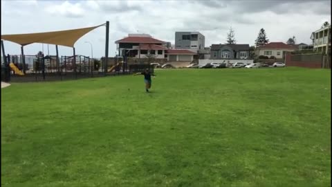 How to throw a frisbee in 30kmh winds