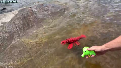 yt1s.com - Sea Animal Toys This Summer at the Shore_1080pFHR