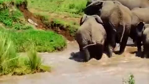 helping baby to fight flood