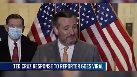 Senator Ted Cruz's Response To Aggressive Reporter Demanding He Wear A Mask Goes Viral