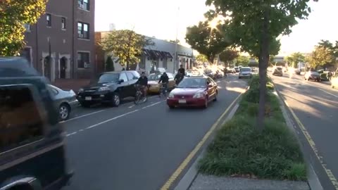 CARS MAKE A LOT OF NOISE: See What Happens When You Take Them Away!