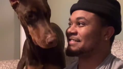 bark at your dog and see his reaction
