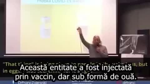 Ce entități au fost găsite în unele vaccinuri experimentale împotriva Covid-19