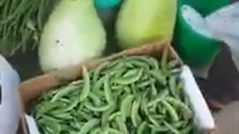 OMAN-MUSCAT FRUITS AND VEGETABLE MARKET.