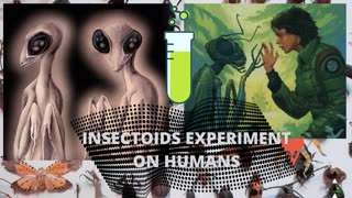 Insectoid Experimentations and Infestations.