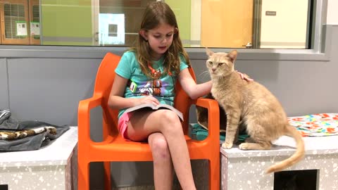 Girl Brings Shelter Cat Out of His Shell Through Reading