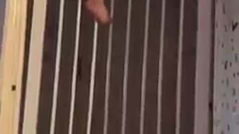 cute baby in jail must watch