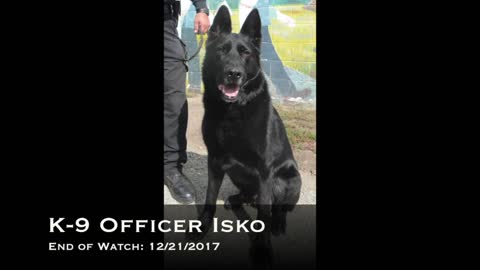 Small town in WA overrun with heroin and meth fought back with a K9 Hero