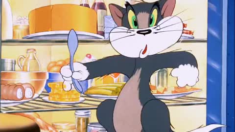 Funny Tom and Jerry cartoon videos, cartoon funny Video, kid's cartoon funny Video,