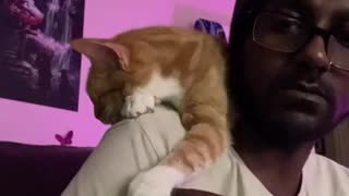 Cuddly Kitty Clutches Owner's Finger