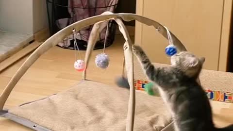 Cute baby playing at home
